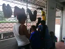 Cali alberga 130 indígenas Emberá