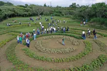 Con jardines, Cali le apuesta a la preservación y la vida