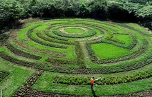 Con jardines, Cali le apuesta a la preservación y la vida
