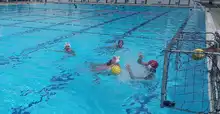 Yubartas, listo para representar a Cali en Nacional Interclubes de polo acuático