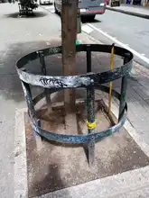 S.O.S. por los árboles de Cali 
