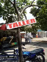 S.O.S. por los árboles de Cali 