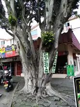 S.O.S. por los árboles de Cali 