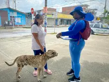 60 barrios de Cali ya cuentan con ruta de reciclaje