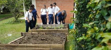 Comedores comunitarios: apoyo fundamental para la población con discapacidad