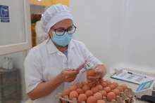 Balance positivo del Programa de Alimentación Escolar en el primer semestre 2022