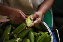 762 comedores comunitarios brindan atención alimentaria a población vulnerable  