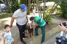 ‘Gobierno al barrio’ llevó soluciones a los problemas ambientales del Primero de Mayo y toda la comuna 17