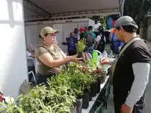 ‘Gobierno al barrio’ llevó soluciones a los problemas ambientales del Primero de Mayo y toda la comuna 17