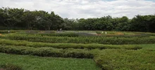Diseños del Parque Ambiental Corazón de Pance avanzan en un 75%