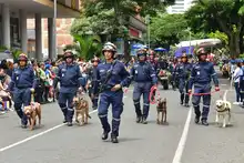 Bomberos de Cali, héroes de ‘puro corazón’ que cumplen 94 años salvando vidas