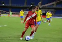 Con goleada de Brasil, la Copa América Femenina se fue de Cali
