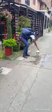 Salud Pública Distrital continúa desplegando acciones contra el dengue