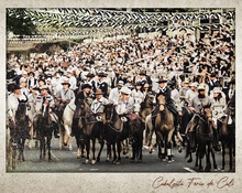 Cabalgata de Cali