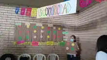 Presentadas propuestas pedagógicas para implementar en casa 