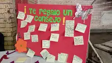Presentadas propuestas pedagógicas para implementar en casa 