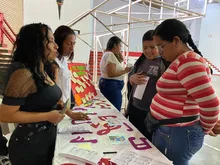 Presentadas propuestas pedagógicas para implementar en casa 