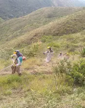 Buscamos voluntarios  para plantar un regalo a Cali