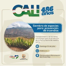 Buscamos voluntarios  para plantar un regalo a Cali
