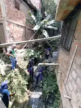 Inicia limpieza de cinco ríos y 45 quebradas, con recicladores