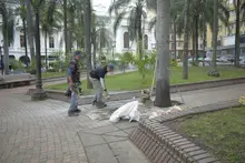 Reubican cestos de basura dentro de la Plaza de Cayzedo