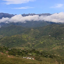 Cumpleaños feliz para Cali con la siembra de 1.000 árboles contra incendios