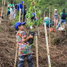 Cumpleaños feliz para Cali con la siembra de 1.000 árboles contra incendios
