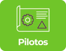 piltos boton-25