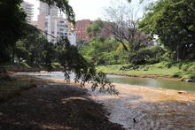 Identificado origen de afectación al río Cali