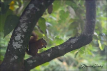 Bioblitz: espacio de ciencia, conciencia y comunidad