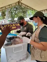 Petronio Álvarez sin fauna silvestre en las comidas