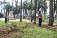 Con pasto esmeralda ponemos más bella la Plaza de Cayzedo