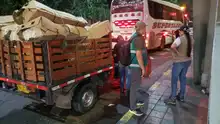 En Petronio cuidamos la flora silvestre