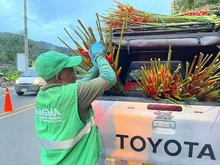 En Petronio cuidamos la flora silvestre