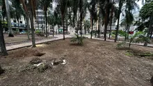 Así se imaginan los caleños la Plaza de Cayzedo renovada