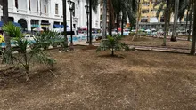 Así se imaginan los caleños la Plaza de Cayzedo renovada