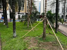 Así se imaginan los caleños la Plaza de Cayzedo renovada