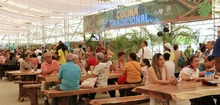 Elementos ecológicos presentes en el Festival Petronio Álvarez 