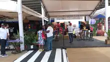 Movilidad Distrital presente en el Festival Petronio Álvarez