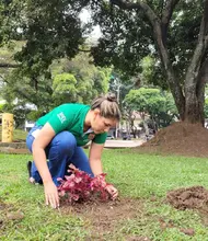 Sembratón en San Nicolás: otra mirada a los espacios públicos de Cali