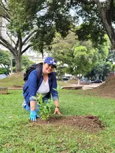 Sembratón en San Nicolás: otra mirada a los espacios públicos de Cali