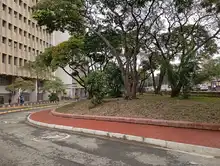 Culminan obras en la red peatonal del Parque Central río Cali