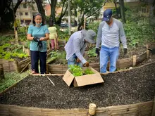 Calima, un barrio pionero en el aprovechamiento de residuos orgánicos 