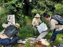 Descontaminamos y contribuimos a mitigar el riesgo  de desbordamiento de ríos y quebradas de Cali