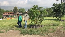 Recuperado punto de arrojo clandestino de residuos en el norte de Cali