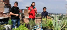 Habitantes de Siloé se benefician con iniciativas de huertas comunitarias 