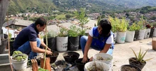 Habitantes de Siloé se benefician con iniciativas de huertas comunitarias 