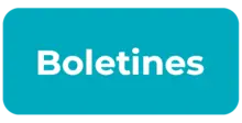 boletines