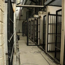 Centro de Bienestar Animal avanza en un 85% 
