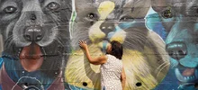 El centro de Bienestar Animal en Cali, es un sueño hecho realidad